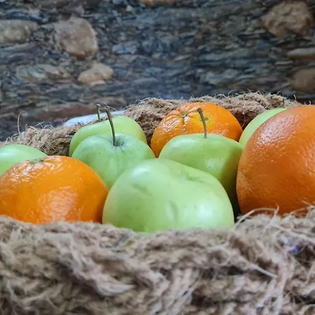 Casa de Férias Casa Do Adro Da Igreja Velha *